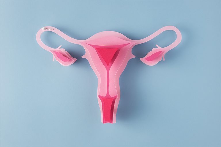 Colo do útero: entenda as mudanças uterinas nas fases de vida da mulher